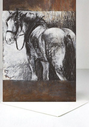 Jacqui Melbourne Design