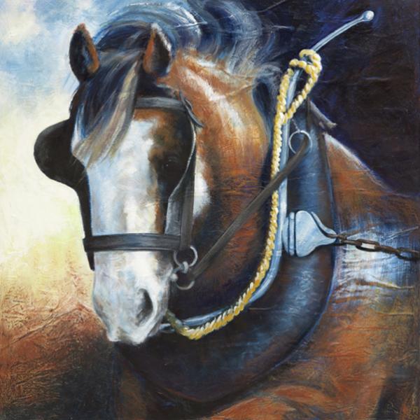 Jacqui Melbourne Designs